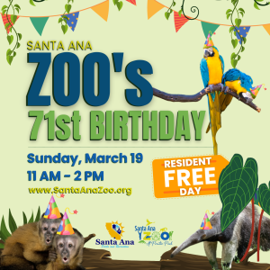 Zoo's Birthday