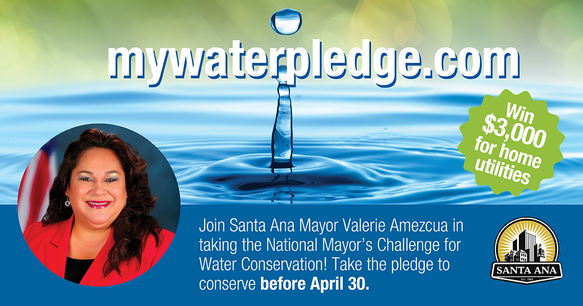 Water pledge