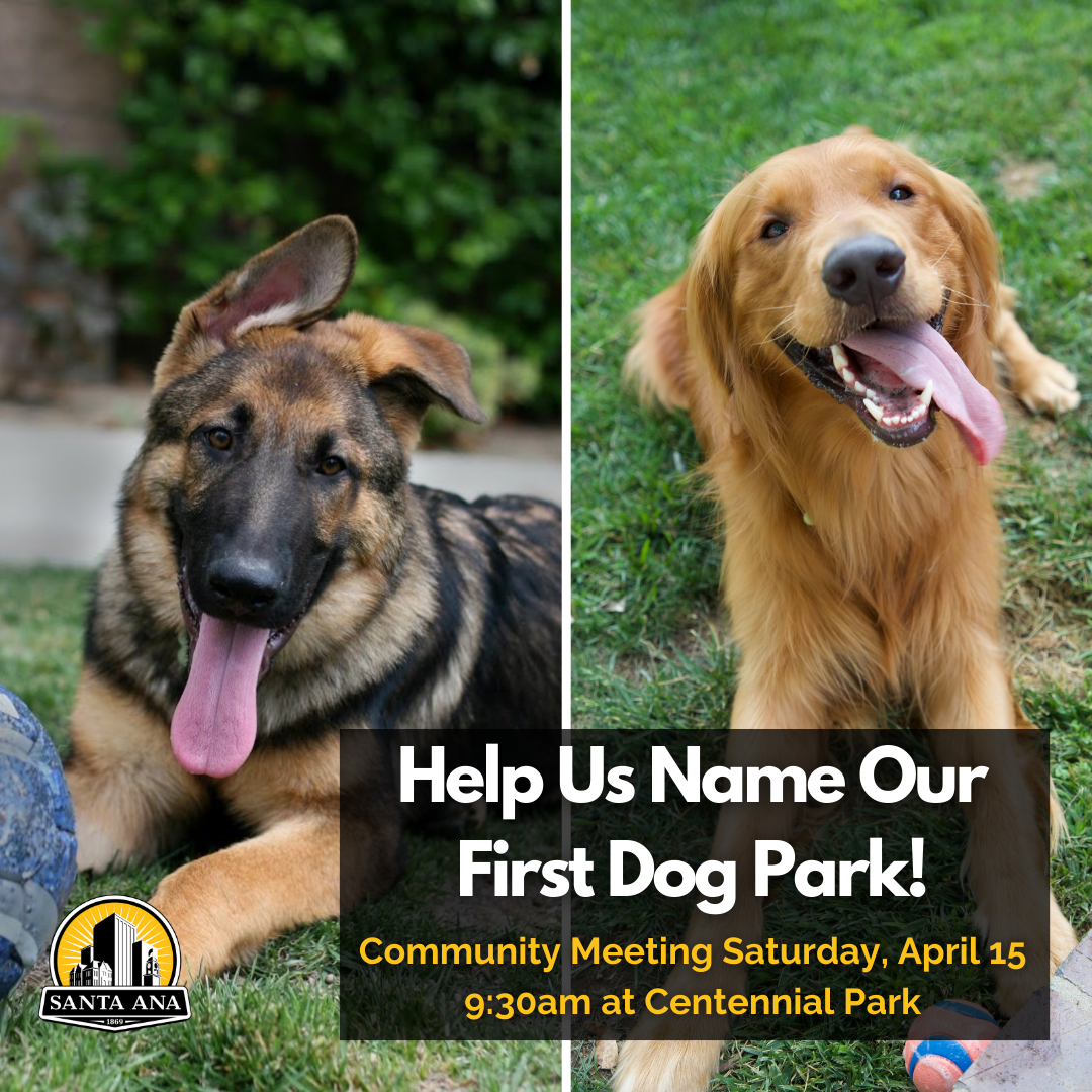 Community Meeting To Name Dog Park Graphic