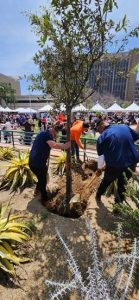 Arbor Day - Event Recap image one 5_2_23