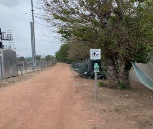 A dirt trail lined with trees and a dog waste bag dispenser.