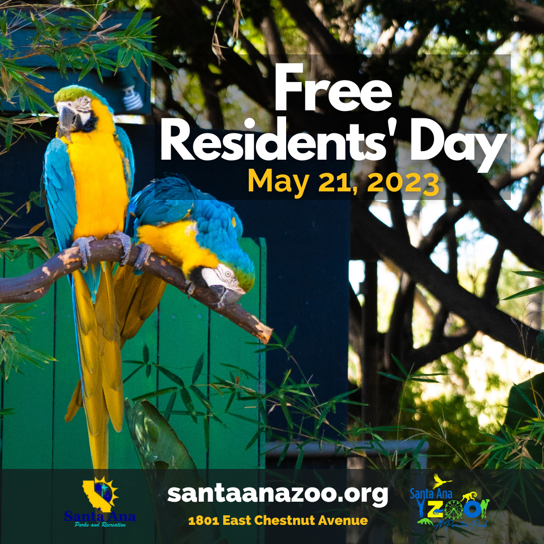 Resident Free Day