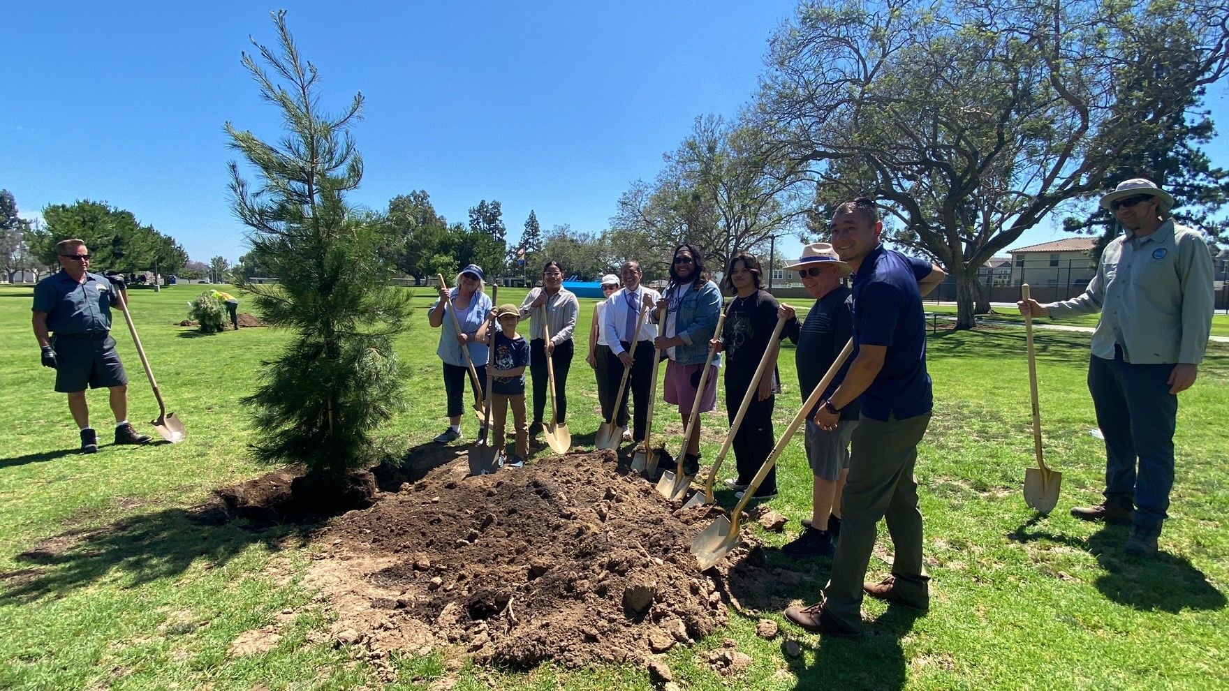 Portola Park Tree Planting