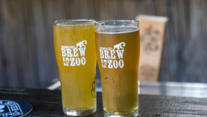 Brew at the zoo drinks