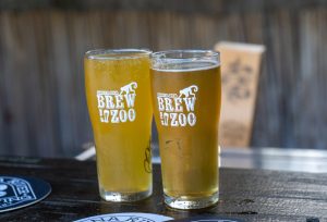 Brew at the zoo drinks