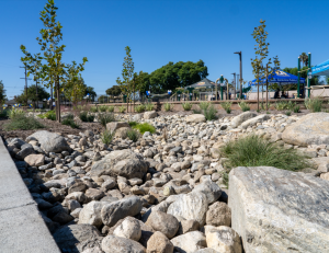 Ed Caruthers park storm drain