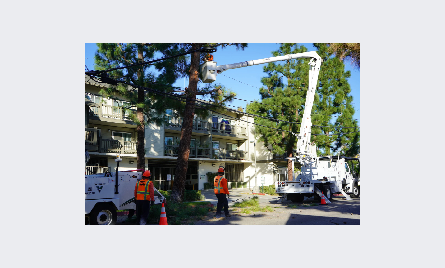picture of Public Works staff trimming broken branches