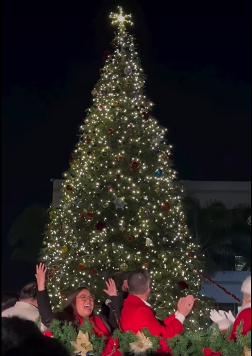 Winter Village Tree Lighting