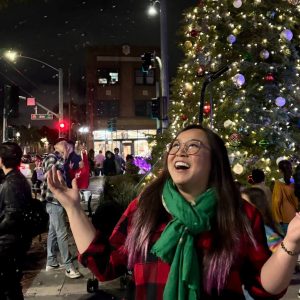 Plaza Navideña Tree Lighting