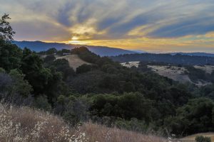 Los Altos Hills sunset