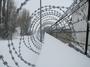 Barbed Wire in the Snow