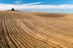 Field and tractor