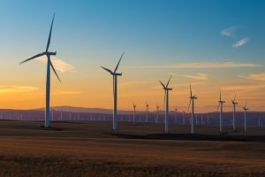 Sunset behind wind turbines