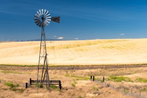 A windmill on McDermid Lane