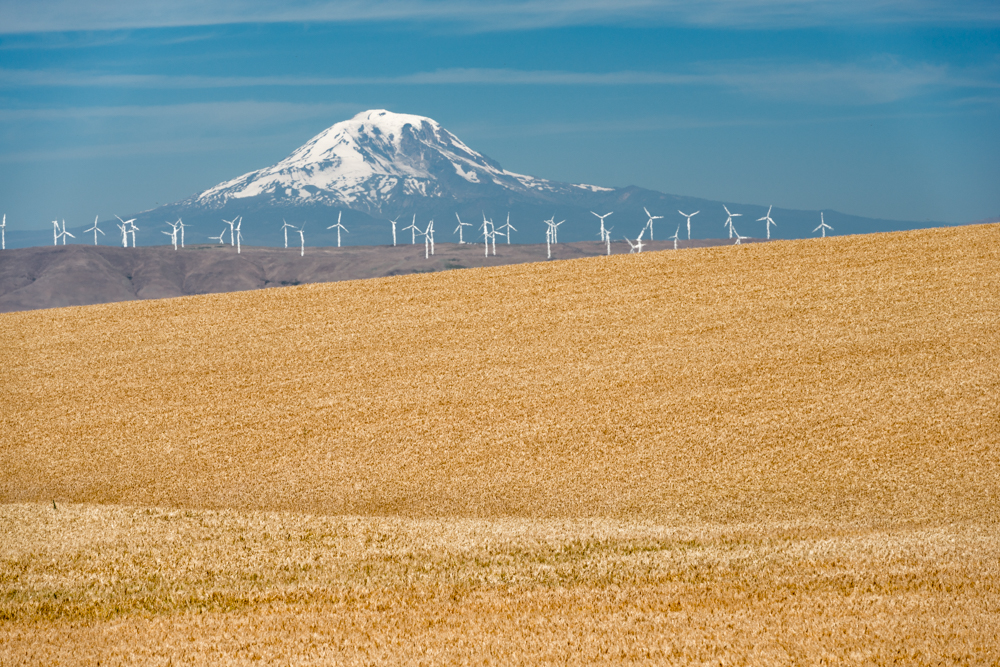 Wind turbines on the Sherman County prairie. Photo courtesy of Gary Halvorson, Oregon State Archives.