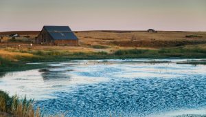 A pond and barn along Rutledge Road