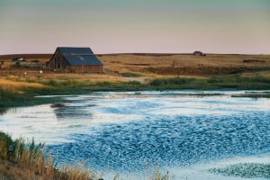 A pond and barn along Rutledge Road