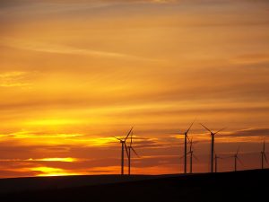 Wind Mills at Sunset