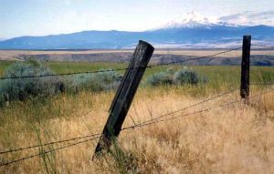 Fence on the Range