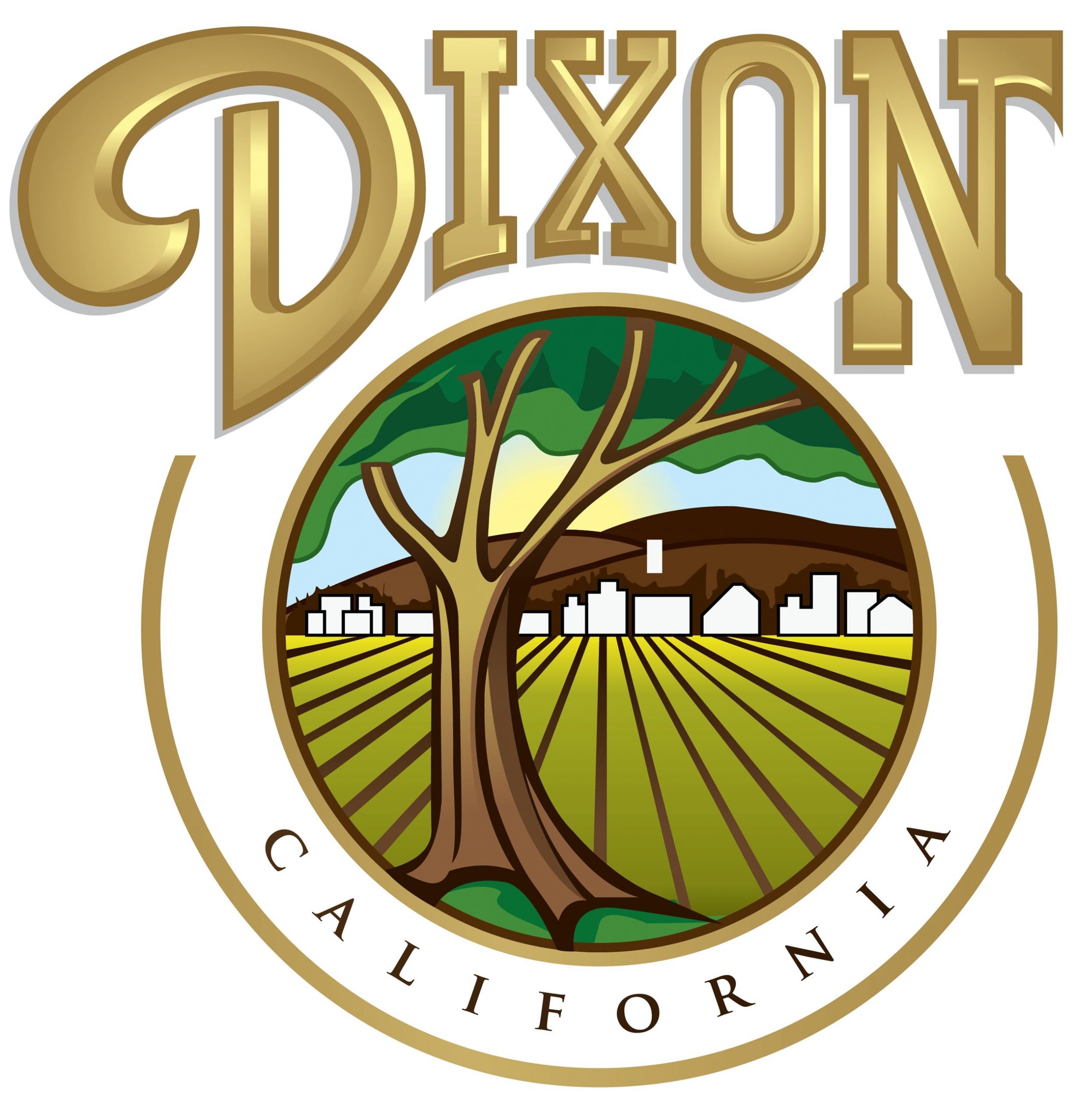 dixon