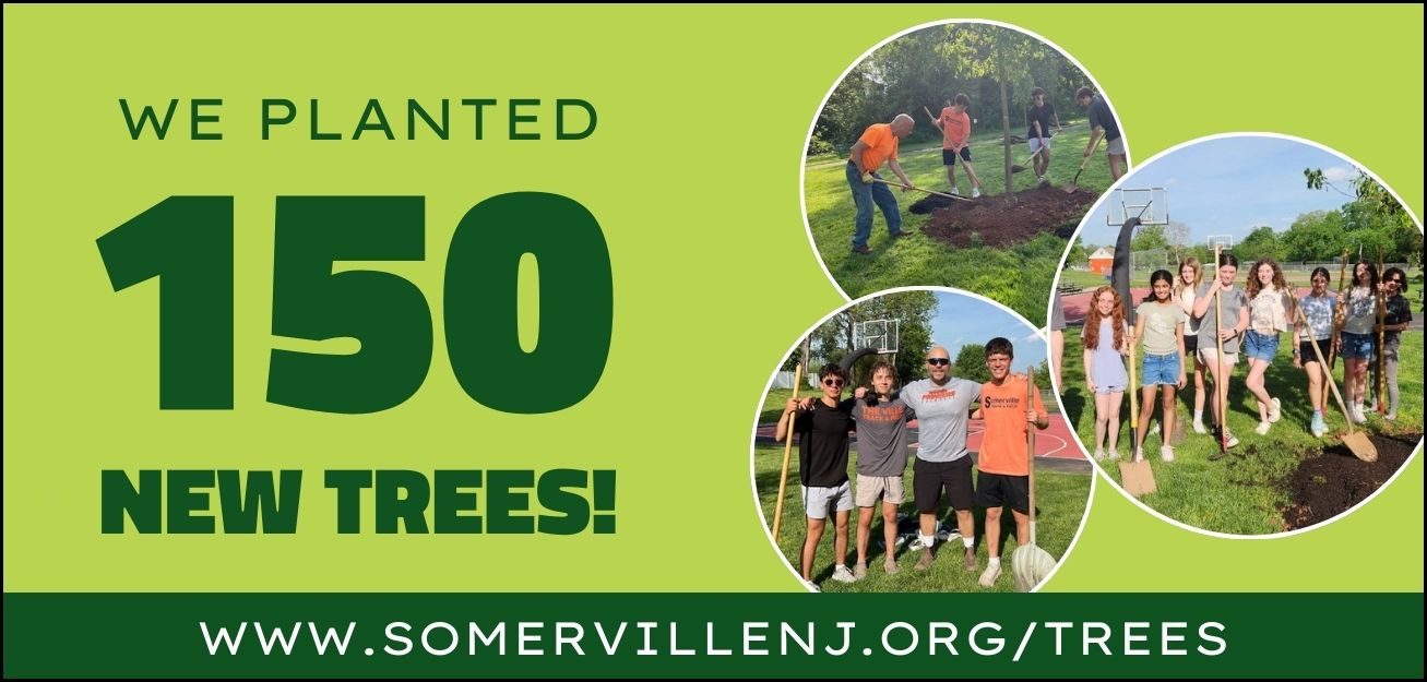 We planted 150 new trees!