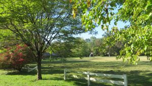 View of the park and basketball court in the distance