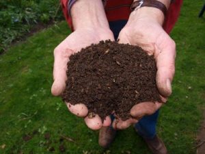Hands holding composted soil