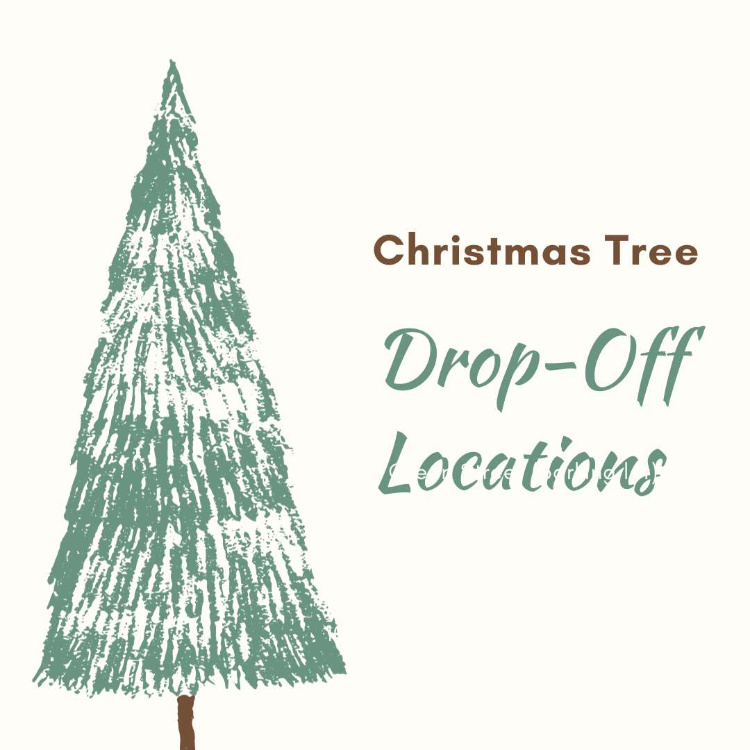 Christmas tree drop-off locations