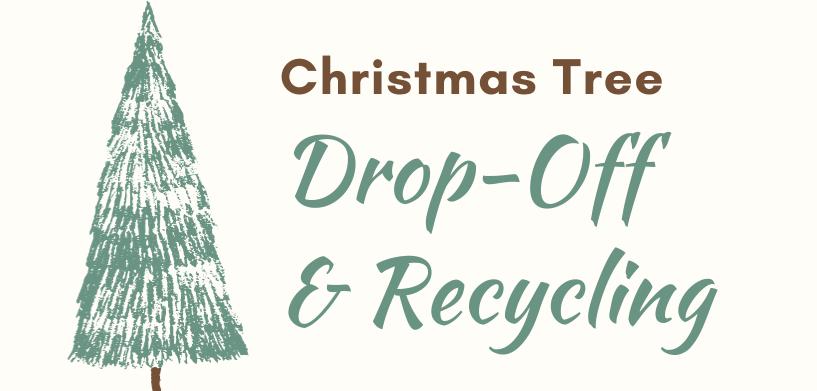 Christmas tree drop-off and recycling