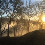 Sunrise Hike, Fran Braga Meininger, 21+