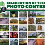 A grid of 45 photos entered to win the Celebration of Trees Earth Day Photo Contest of trees in Sonoma Valley.