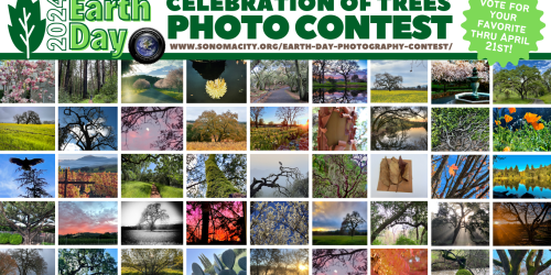 A grid of 45 photos entered to win the Celebration of Trees Earth Day Photo Contest of trees in Sonoma Valley.