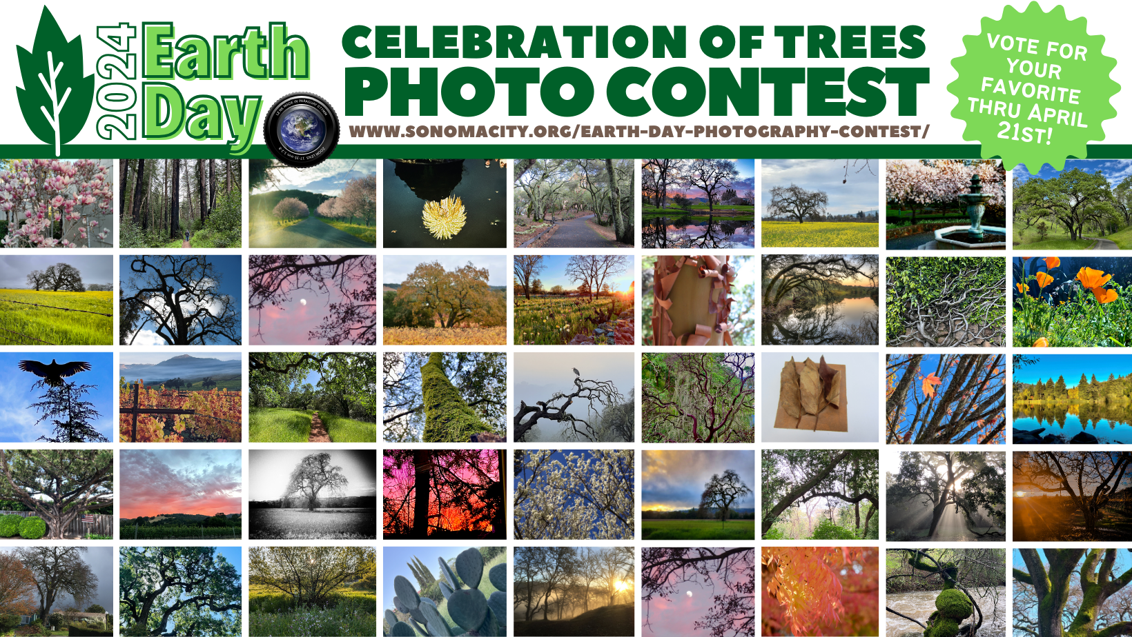 A grid of 45 photos entered to win the Celebration of Trees Earth Day Photo Contest of trees in Sonoma Valley.