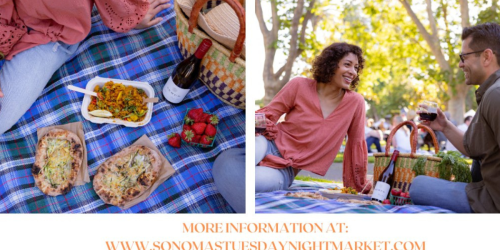 Two photos of a couple picnicking at a park with fresh strawberries, wine and prepared foods