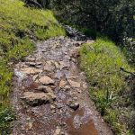 Photo of a worn trail path
