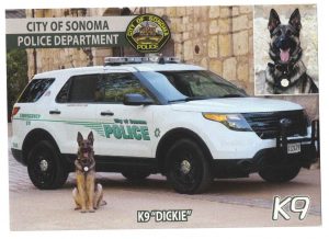 K9 Dickie