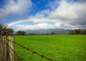 Rainbow over a Meadow