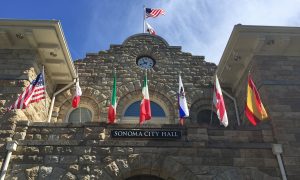 Flags at City Hall