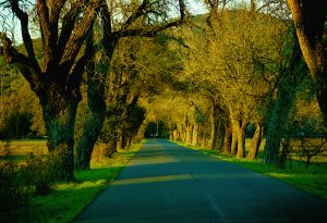 Vallejo House Driveway