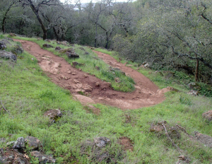 Sonoma Overlook Trail