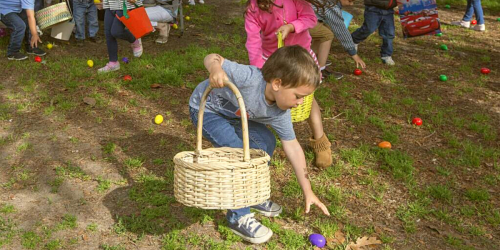 Children with baskets picking up colorful eggs from the grass.