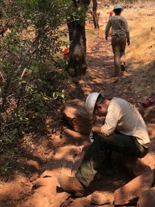 ACE team member building a swale on the Sonoma Overlook Trail