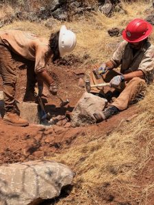 Building Stone Steps for the Sonoma Overlook Trail