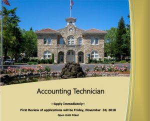 Accounting Technician Brochure