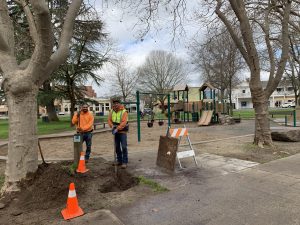 Public Works installs a water spigot on the Sonoma Plaza