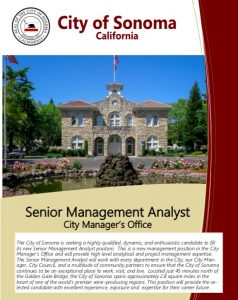 Senior Management Analyst