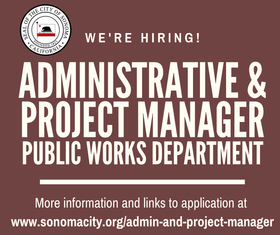 Admin and Project Manager