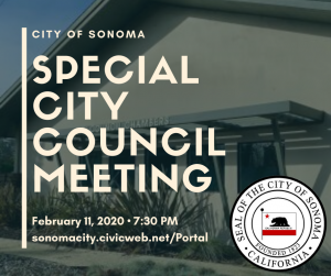 Special City Council Meeting, February 11th
