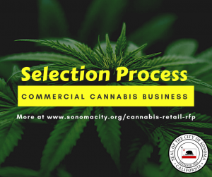 Commercial Cannabis Business Selection Process