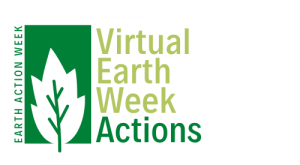 Virtual Earth Week Actions